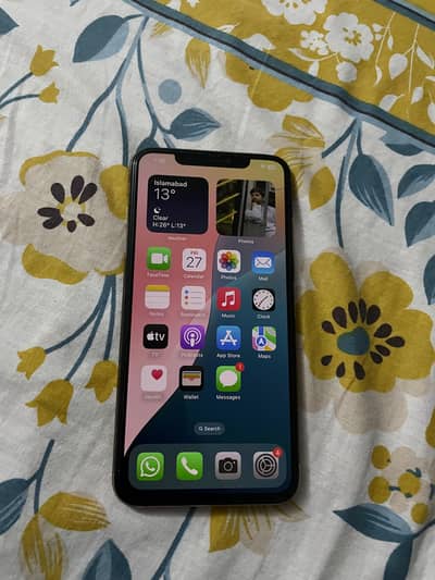 Xs Max Gold 256 Gb Pta approved