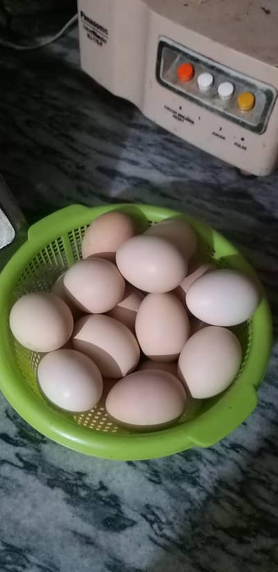 desi eggs