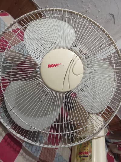 Brecket Fan Best For Kitchen Kamra Cantt