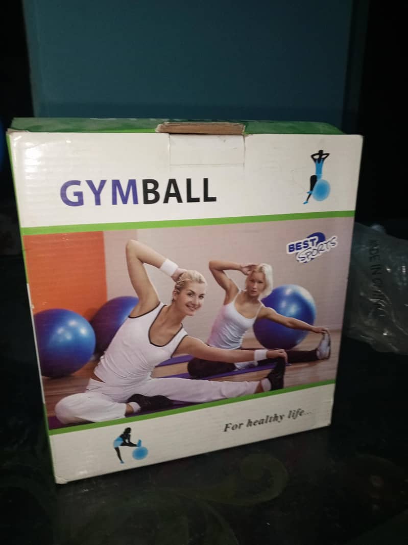 gym/exercise ball 1