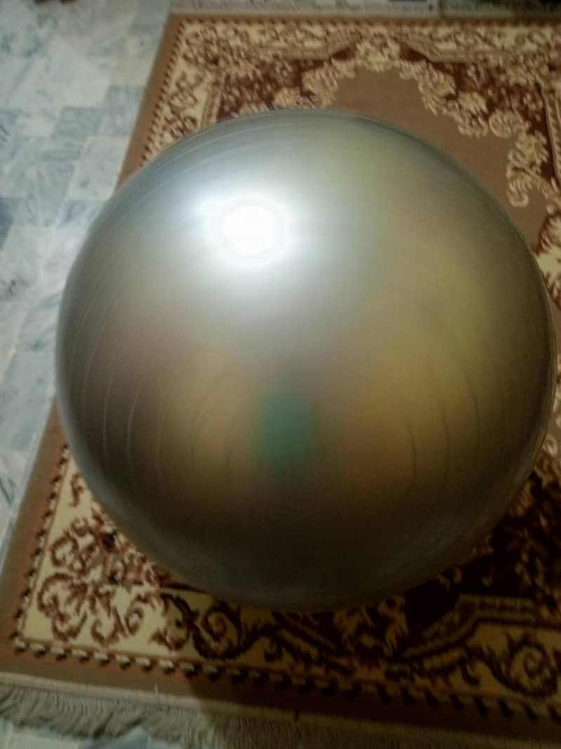 gym/exercise ball 7