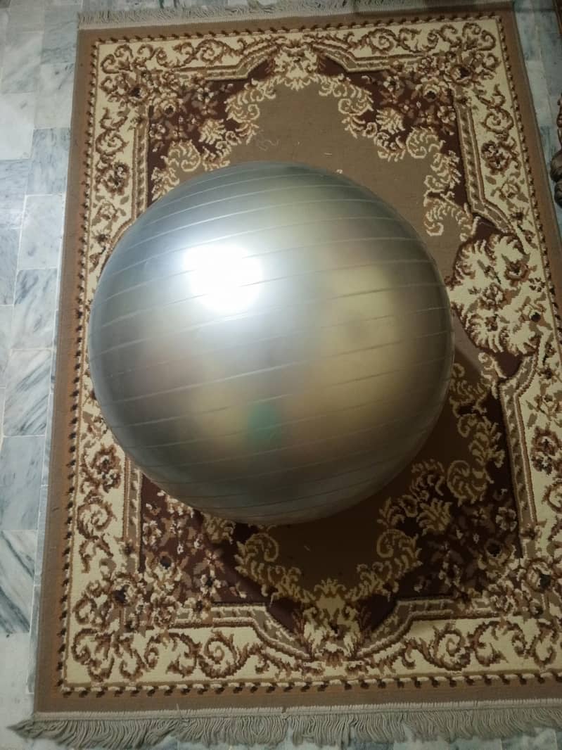 gym/exercise ball 8