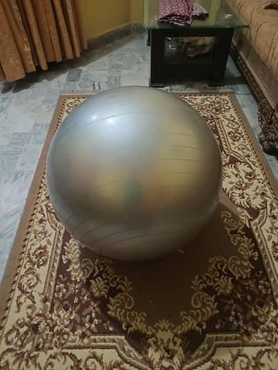 gym/exercise ball
