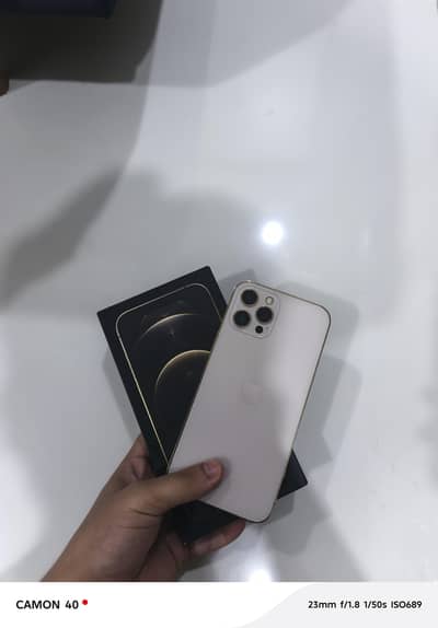 iphone 12 pro max pta approved