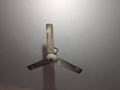 pak fan seeling fan