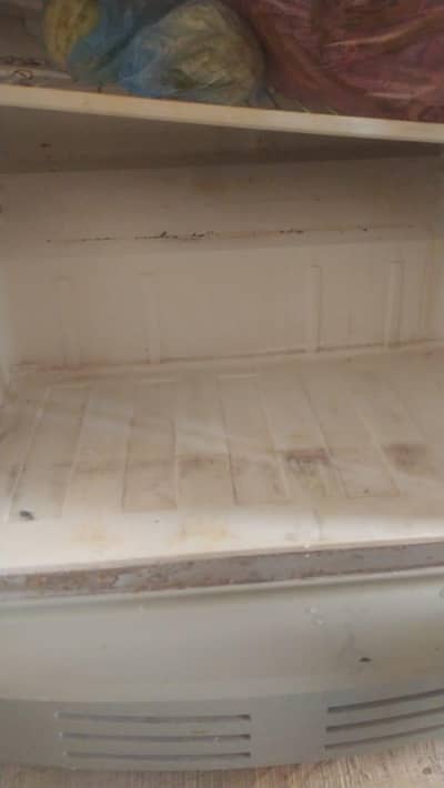 pel refrigerator for sale