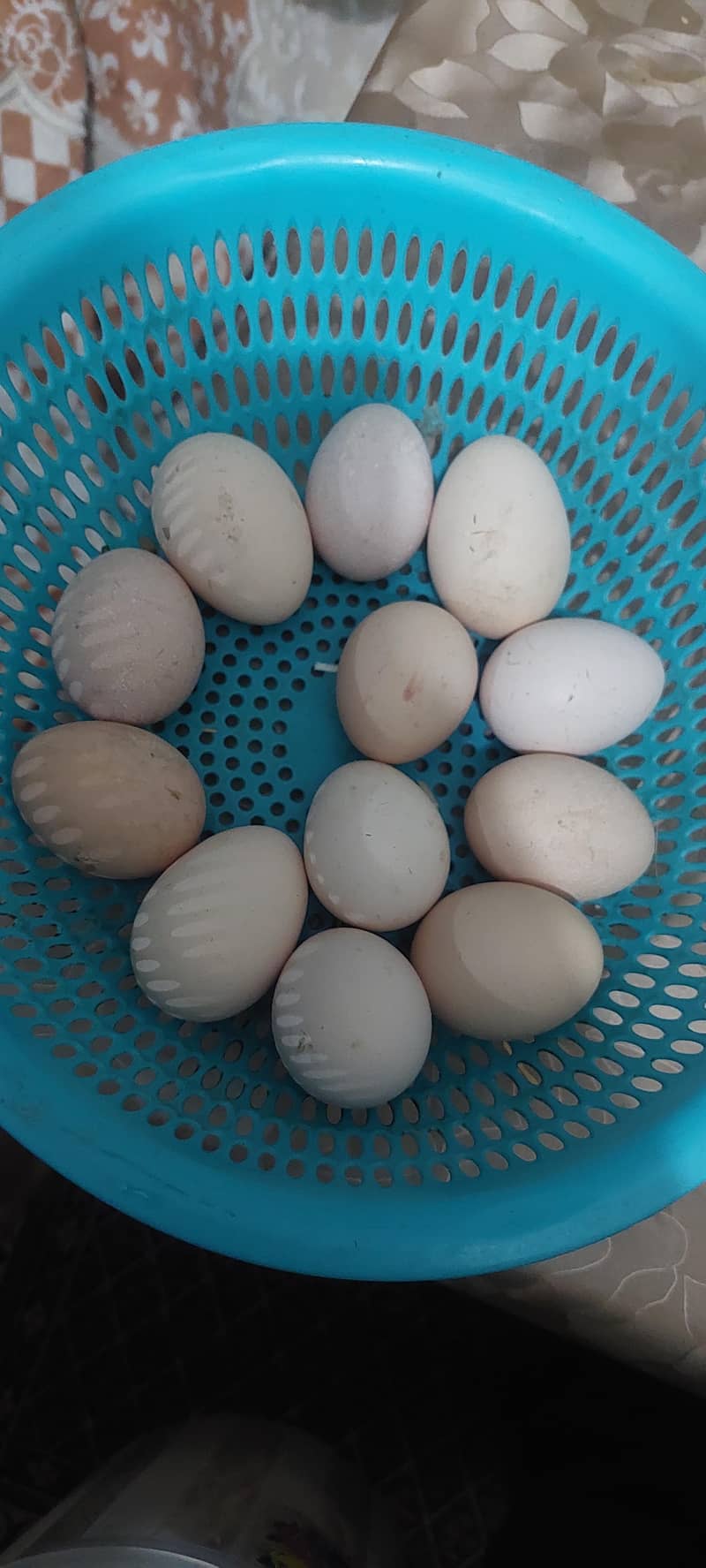 Desi Eggs 0