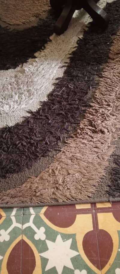 Different Rugs in Different Sizes