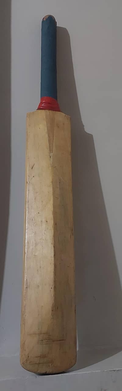 Pakistani Player Sign Of  World  Cup 1999-2003