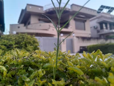 G-10/2 Prime Lication Ground Portion (500/Gaz) Seprate Parking Reasonable Renr