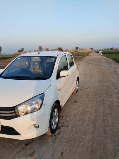 Suzuki cultus vxl 2019
