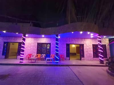 need girl as a office assistant