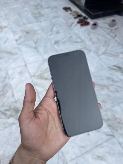 Apple iPhone 12 Pro Max