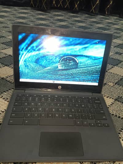 HP Chromebook