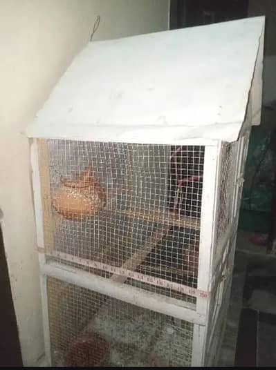 parrot cage available for sale