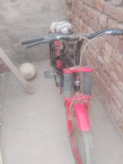 child cycle 13 year old