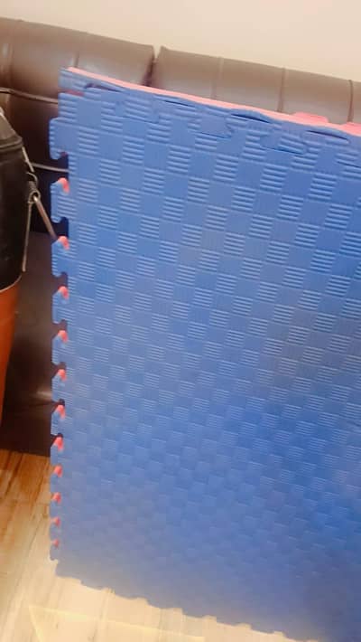 Invincible Heavy Boxing Punching bag + 12 Gym Mats - Excellent