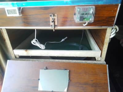 golden misri | semi automatic incubator 60 & temperature meter : Rs 9k
