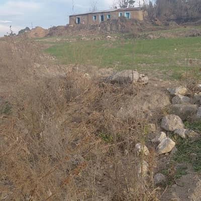 Land Sale in Manshra