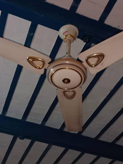 Royal Roof Fan Copper Winding