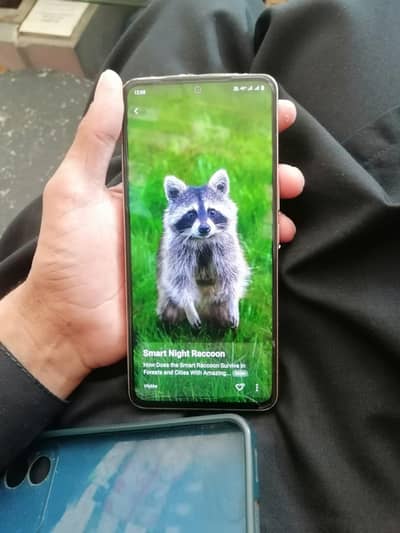 Vivo v29e 5g. . 8/256