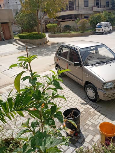 Suzuki Mehran model number 2016