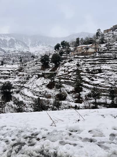 24 hrs ya 12 hr female maid Ki zarorat hai