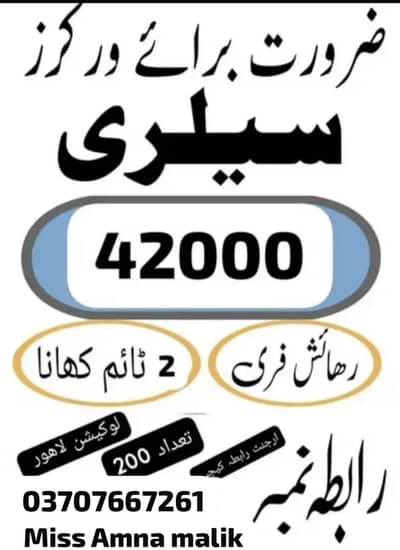 Factory work staff required packing job available morning night shift