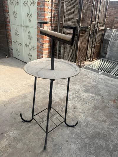 tamed birds parrots stand