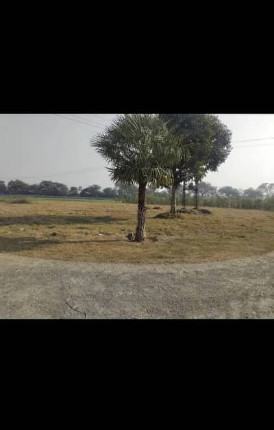 Investment in [Location]  Best Agricultural Property for Sale Irrigation & Road Access  2,4 ,8 16 kanal