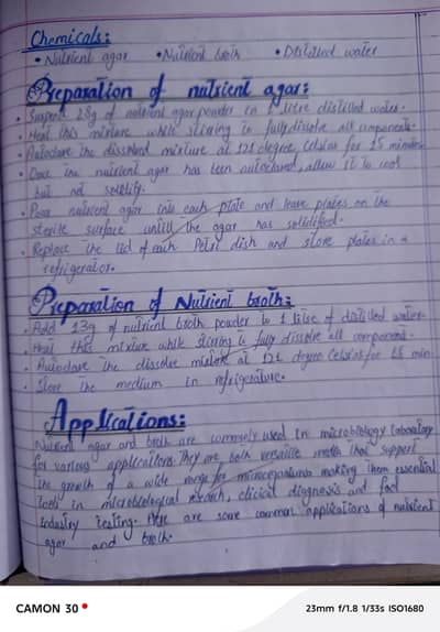 Presentation Making and Assignment Writing