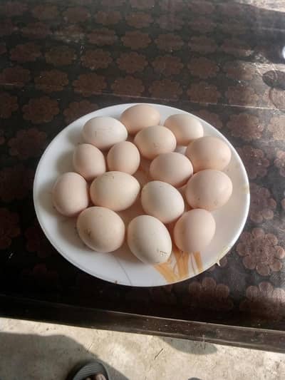 prime Desi eggs