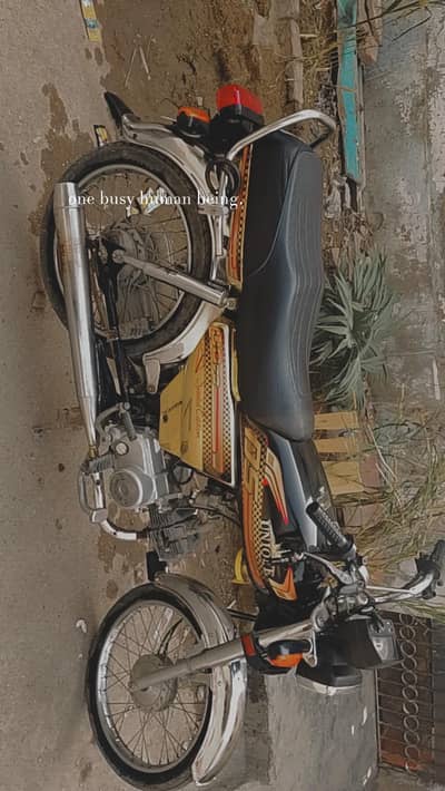 2025 model gold edition