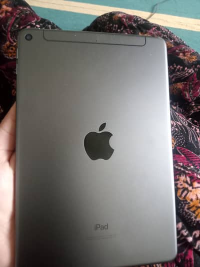 iPad mini 5 64 gb best for PUBG 60 fps