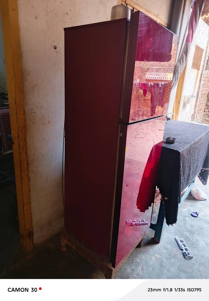 PELL Fridge Medium Size 1