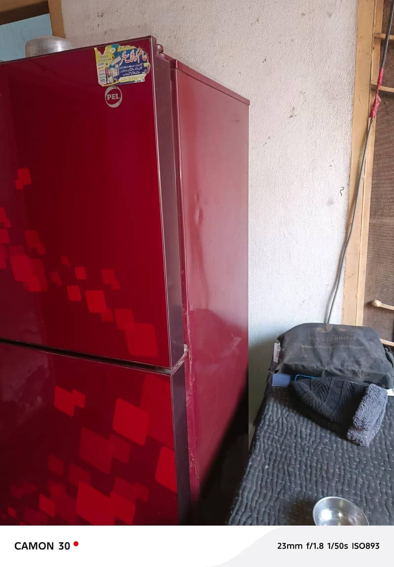 PELL Fridge Medium Size 2