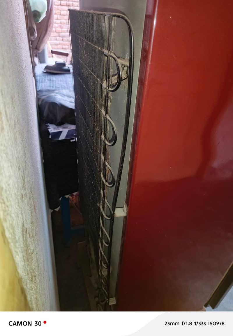 PELL Fridge Medium Size 4