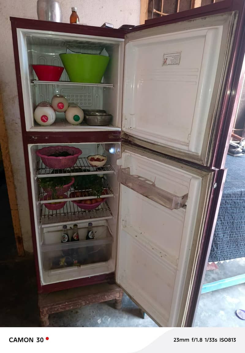 PELL Fridge Medium Size 5