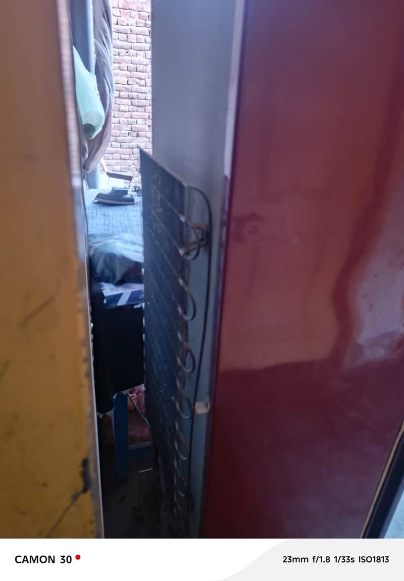 PELL Fridge Medium Size 6