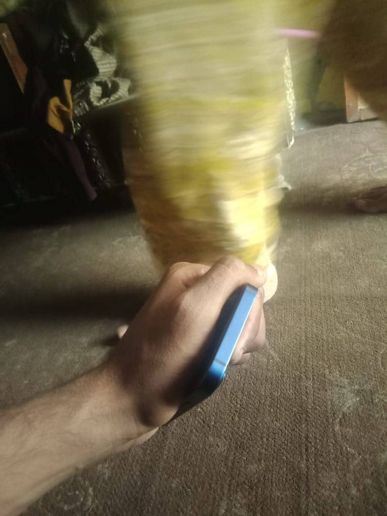 Apple iPhone 12 mini 1