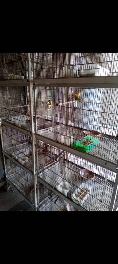 Cage available for sale size 2.5 by 1.5 by 1.5 available 03234406698