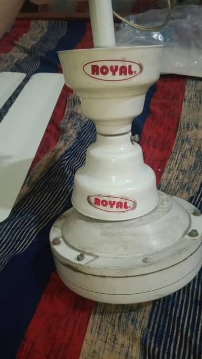 Royal fan