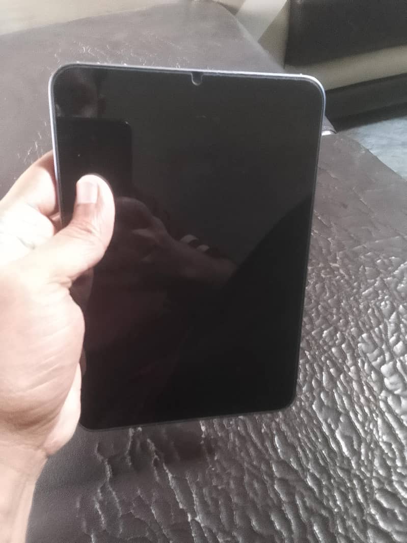 ipad mini 6 lush 0