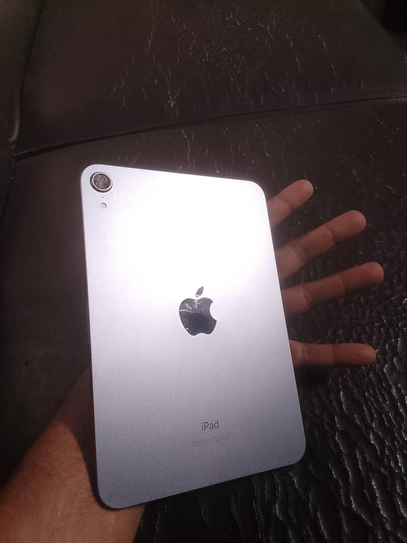 ipad mini 6 lush 3