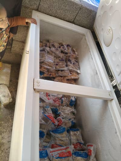 Deep Freezer Haier 545dd