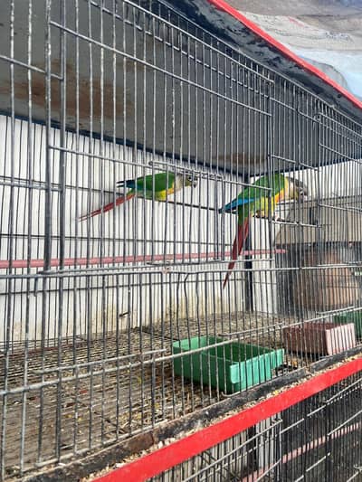 Full Set-Up for sale