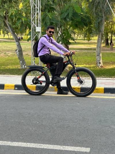Fat tyre Electric bicycle