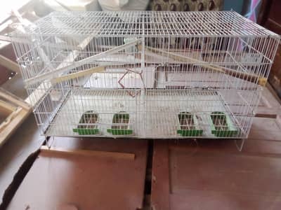 pigeons cage 2 ha