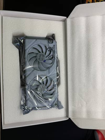 RTX 4060 8GB Asus Dual White GPU