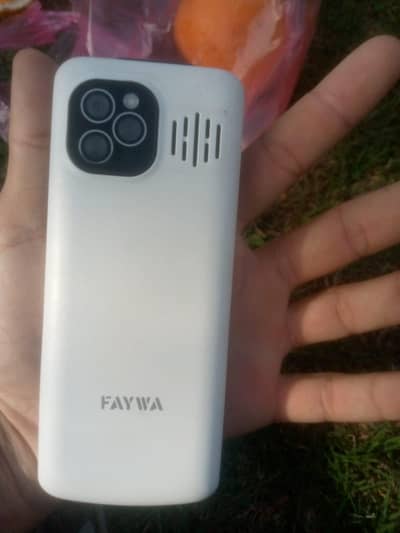 faywa smart 4g